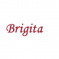 Brigita data management services